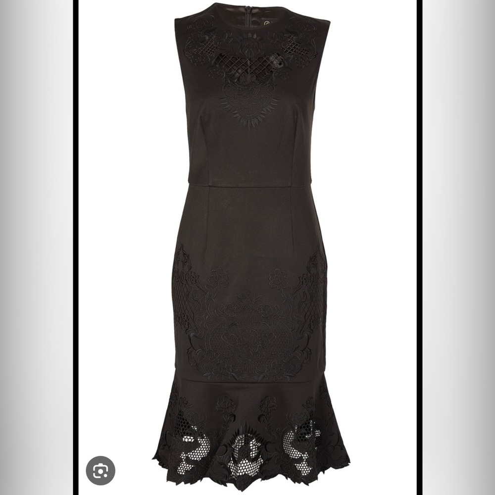 Ted Baker Chrysa Dress